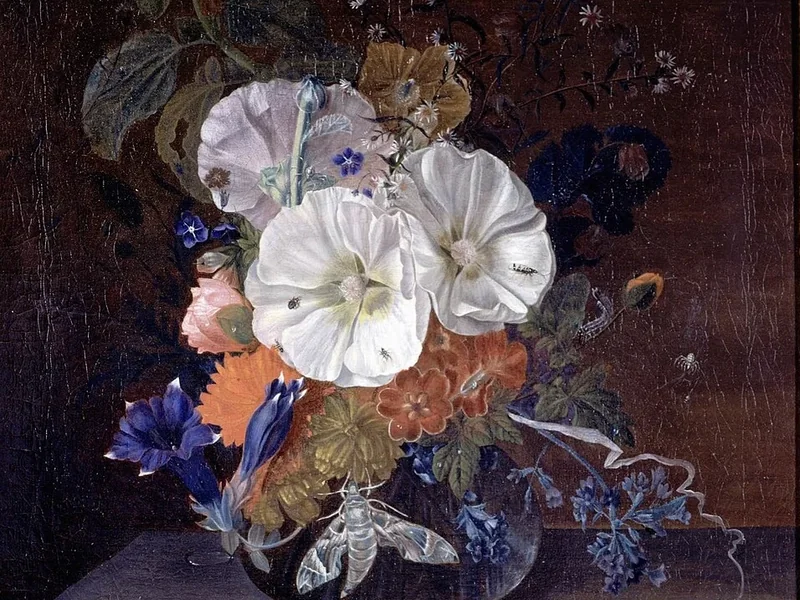 1689-Catharina Backer - Fiori in un vaso su una sporgenza di pietra